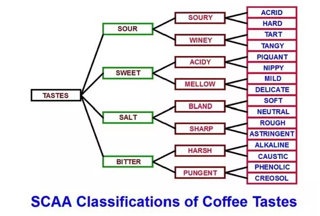 咖啡杯測(cè),咖啡味道分類(lèi)與判斷