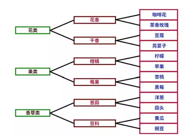 咖啡杯測,香氣,咖啡